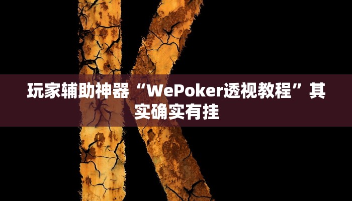 玩家辅助神器“WePoker透视教程”其实确实有挂 玩家辅助神器“WePoker透视教程”其实确实有挂