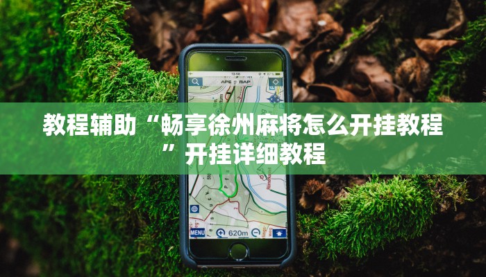 教程辅助“畅享徐州麻将怎么开挂教程”开挂详细教程