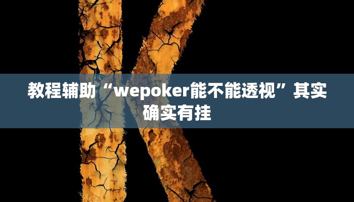 教程辅助“wepoker能不能透视”其实确实有挂