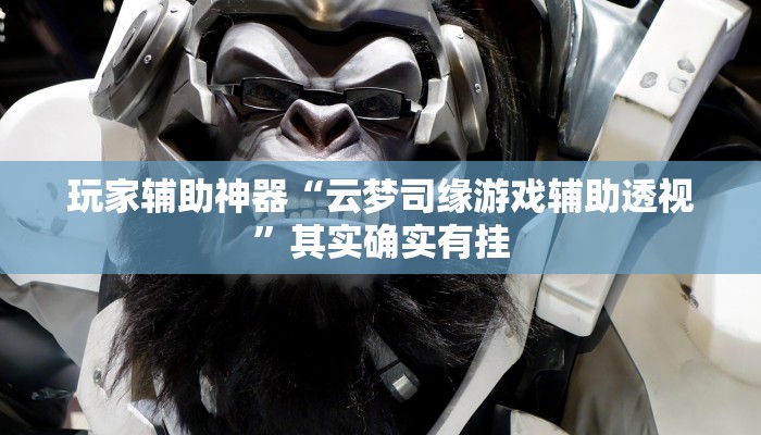 玩家辅助神器“云梦司缘游戏辅助透视”其实确实有挂
