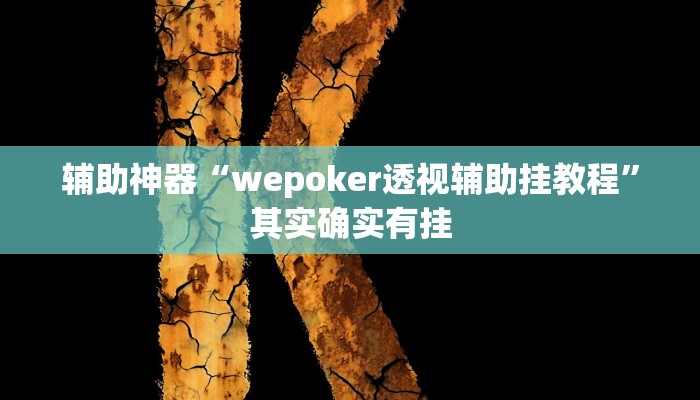 辅助神器“wepoker透视辅助挂教程”其实确实有挂