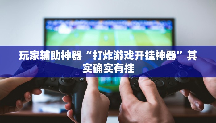 玩家辅助神器“打炸游戏开挂神器”其实确实有挂