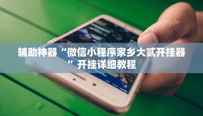 辅助神器“微信小程序家乡大贰开挂器”开挂详细教程