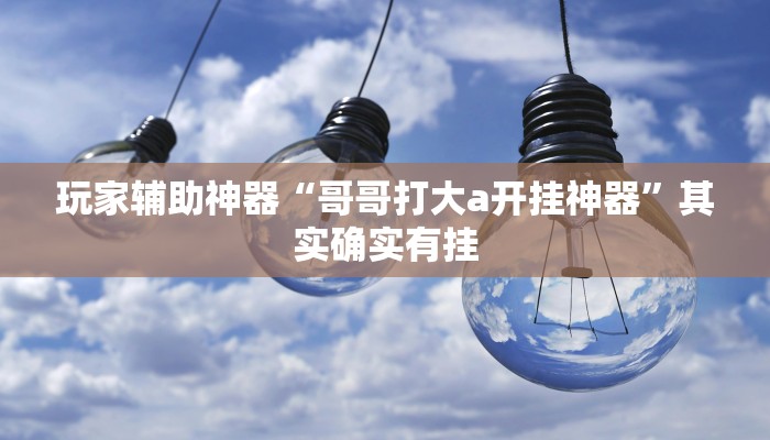 玩家辅助神器“哥哥打大a开挂神器”其实确实有挂