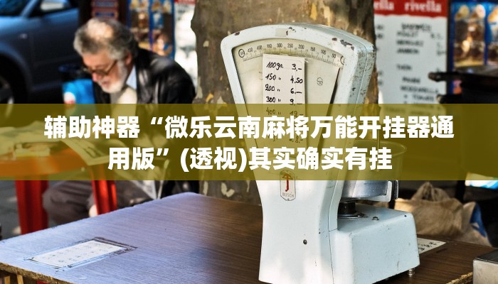 辅助神器“微乐云南麻将万能开挂器通用版”(透视)其实确实有挂