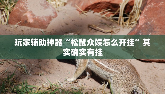 玩家辅助神器“松鼠众娱怎么开挂”其实确实有挂 玩家辅助神器“松鼠众娱怎么开挂”其实确实有挂