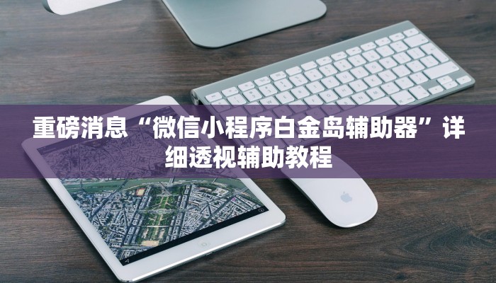 重磅消息“微信小程序白金岛辅助器”详细透视辅助教程