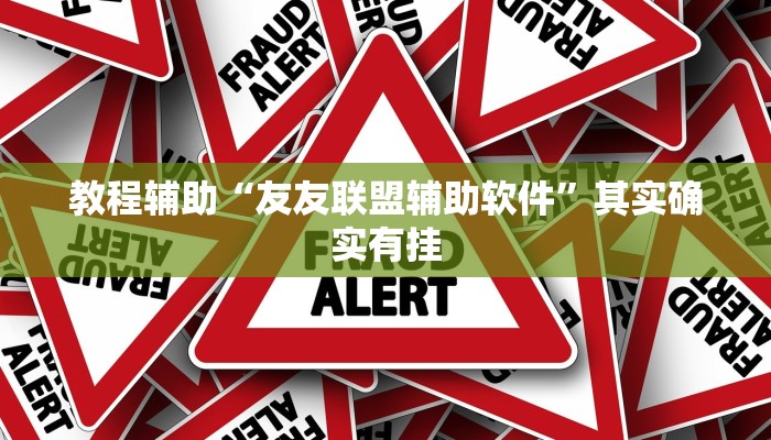 教程辅助“友友联盟辅助软件”其实确实有挂