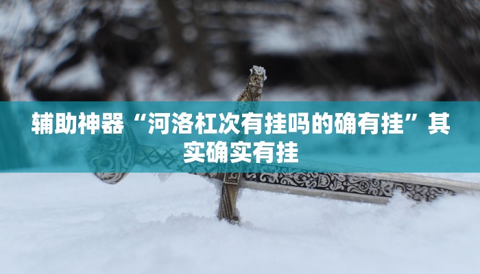 辅助神器“河洛杠次有挂吗的确有挂”其实确实有挂