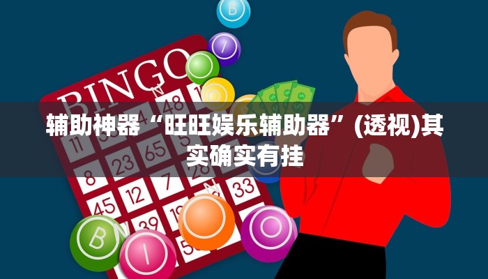 辅助神器“旺旺娱乐辅助器”(透视)其实确实有挂