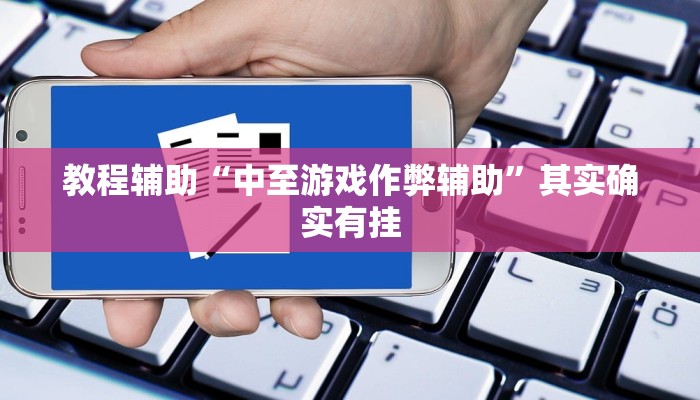 教程辅助“中至游戏作弊辅助”其实确实有挂 教程辅助“中至游戏作弊辅助”其实确实有挂