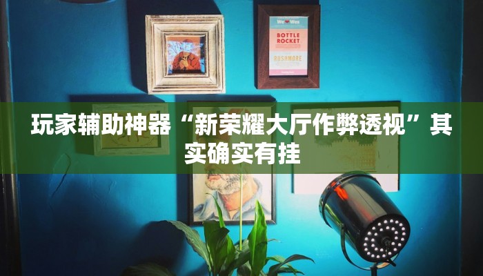 玩家辅助神器“新荣耀大厅作弊透视”其实确实有挂