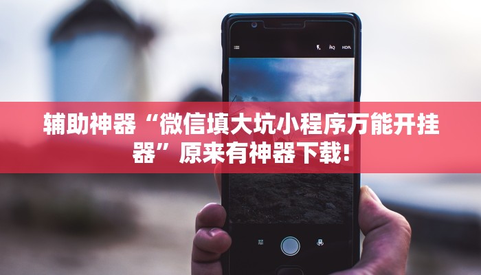 辅助神器“微信填大坑小程序万能开挂器”原来有神器下载!