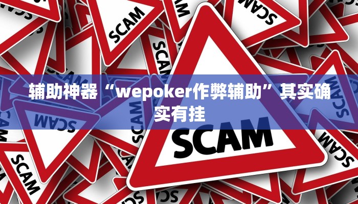 辅助神器“wepoker作弊辅助”其实确实有挂