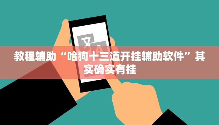 教程辅助“哈狗十三道开挂辅助软件”其实确实有挂