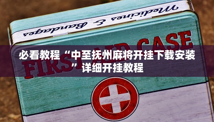 必看教程“中至抚州麻将开挂下载安装”详细开挂教程 必看教程“中至抚州麻将开挂下载安装”详细开挂教程