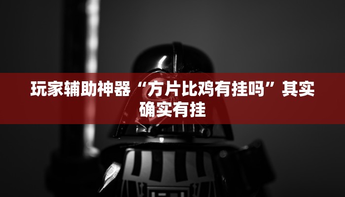 玩家辅助神器“方片比鸡有挂吗”其实确实有挂