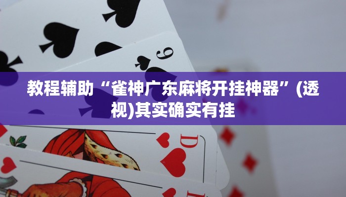 教程辅助“雀神广东麻将开挂神器”(透视)其实确实有挂 教程辅助“雀神广东麻将开挂神器”(透视)其实确实有挂