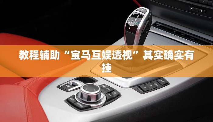 教程辅助“宝马互娱透视”其实确实有挂