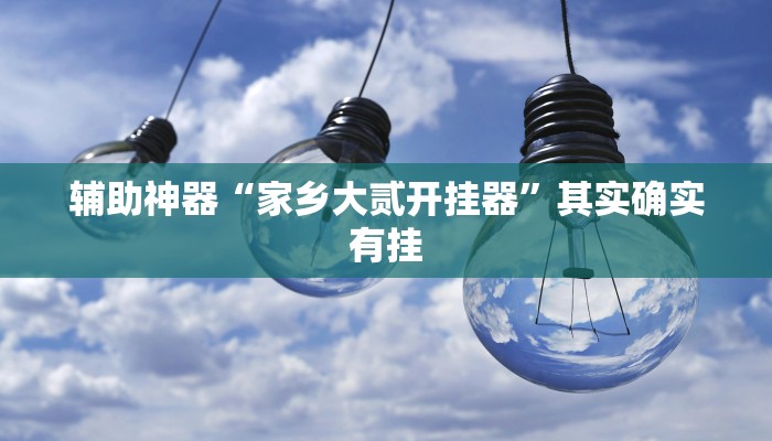 辅助神器“家乡大贰开挂器”其实确实有挂