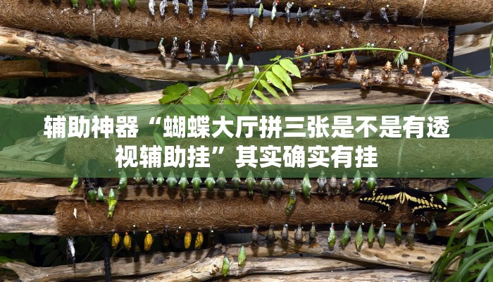 辅助神器“蝴蝶大厅拼三张是不是有透视辅助挂”其实确实有挂 辅助神器“蝴蝶大厅拼三张是不是有透视辅助挂”其实确实有挂