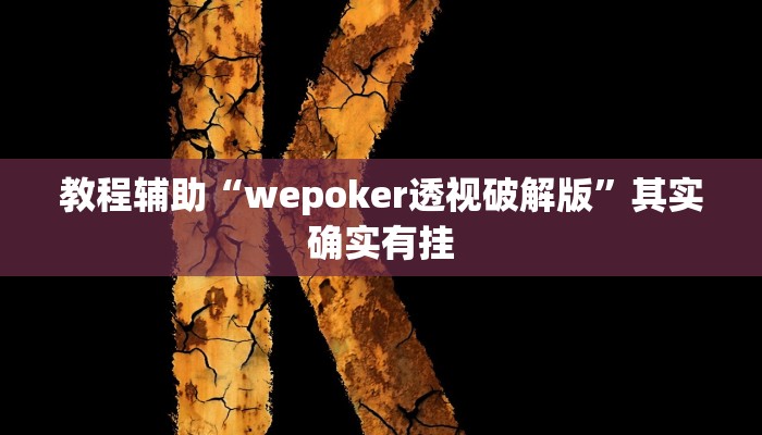 教程辅助“wepoker透视破解版”其实确实有挂