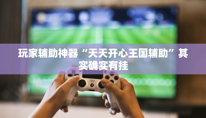 玩家辅助神器“天天开心王国辅助”其实确实有挂