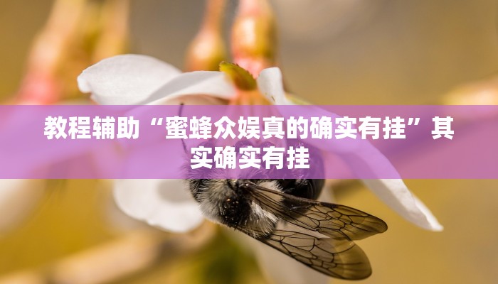 教程辅助“蜜蜂众娱真的确实有挂”其实确实有挂 教程辅助“蜜蜂众娱真的确实有挂”其实确实有挂