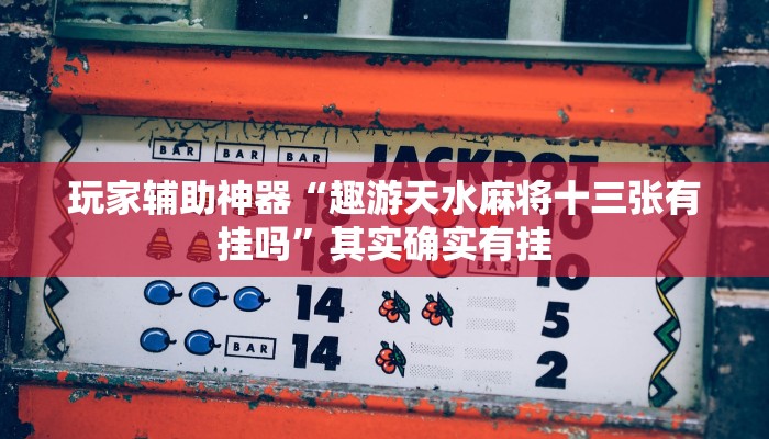 玩家辅助神器“趣游天水麻将十三张有挂吗”其实确实有挂