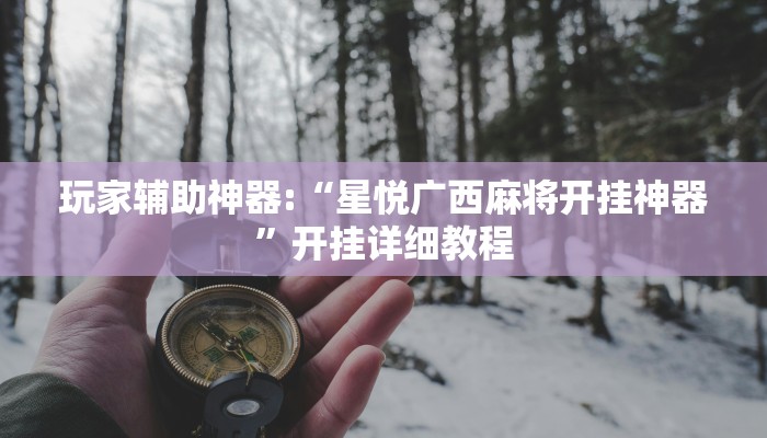 玩家辅助神器:“星悦广西麻将开挂神器”开挂详细教程 玩家辅助神器:“星悦广西麻将开挂神器”开挂详细教程