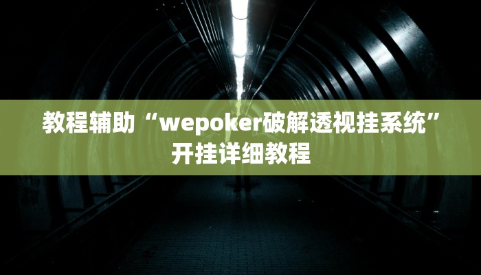 教程辅助“wepoker破解透视挂系统”开挂详细教程