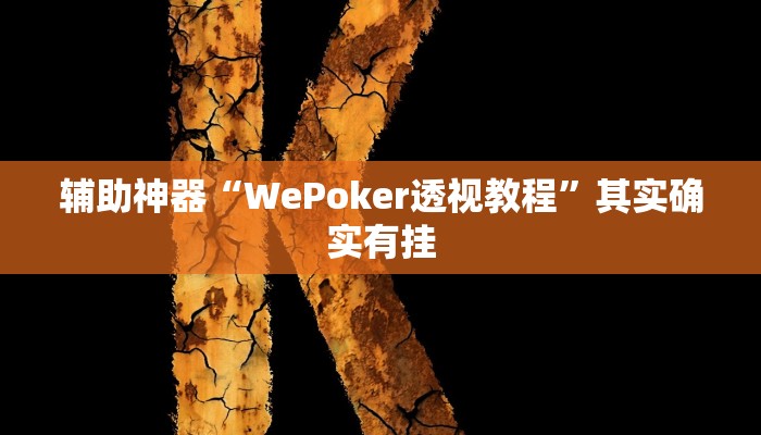 辅助神器“WePoker透视教程”其实确实有挂