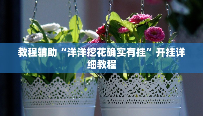 教程辅助“洋洋挖花确实有挂”开挂详细教程