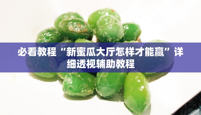 必看教程“新蜜瓜大厅怎样才能赢”详细透视辅助教程