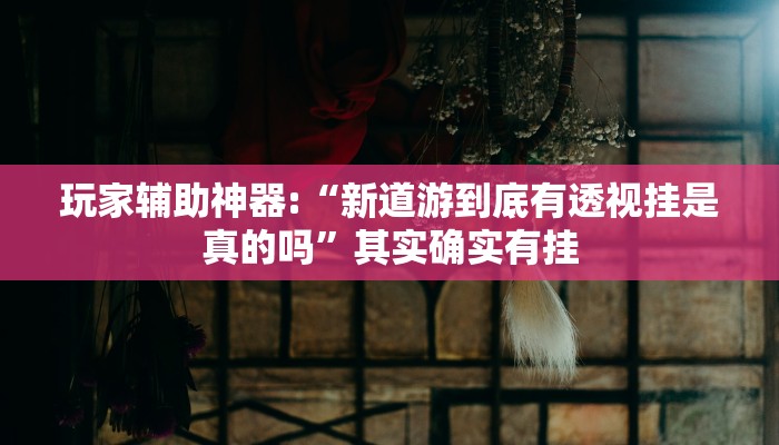 玩家辅助神器:“新道游到底有透视挂是真的吗”其实确实有挂