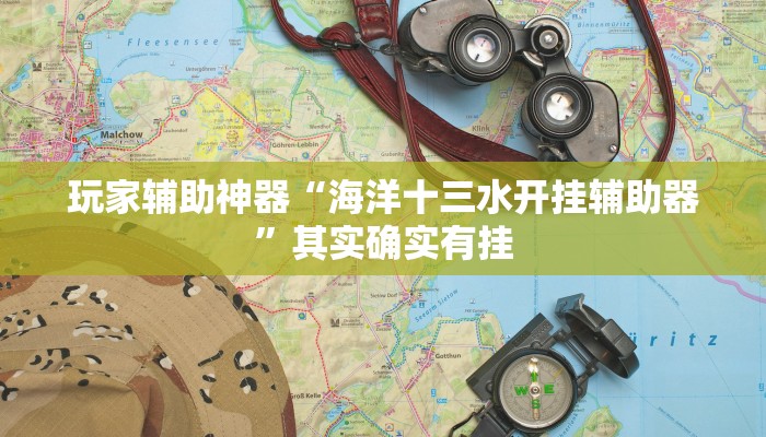 玩家辅助神器“海洋十三水开挂辅助器”其实确实有挂 玩家辅助神器“海洋十三水开挂辅助器”其实确实有挂