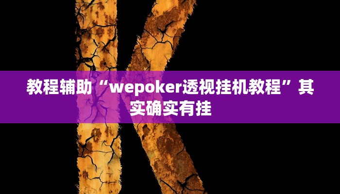 教程辅助“wepoker透视挂机教程”其实确实有挂