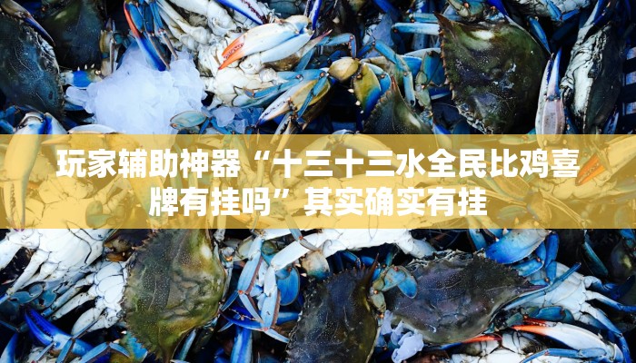 玩家辅助神器“十三十三水全民比鸡喜牌有挂吗”其实确实有挂 玩家辅助神器“十三十三水全民比鸡喜牌有挂吗”其实确实有挂