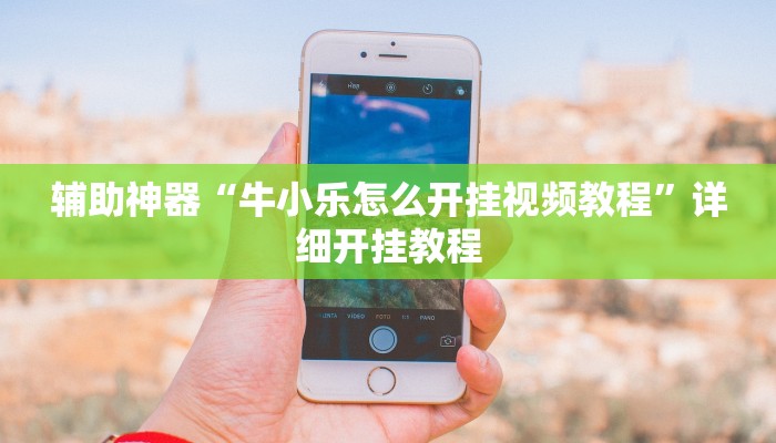 辅助神器“牛小乐怎么开挂视频教程”详细开挂教程