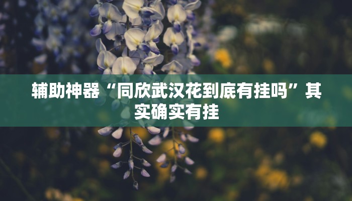 辅助神器“同欣武汉花到底有挂吗”其实确实有挂 辅助神器“同欣武汉花到底有挂吗”其实确实有挂