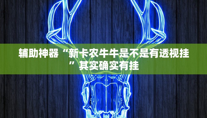 辅助神器“新卡农牛牛是不是有透视挂”其实确实有挂