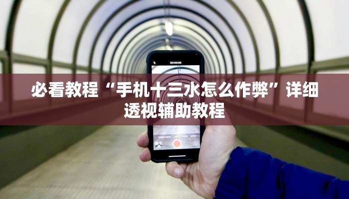 必看教程“手机十三水怎么作弊”详细透视辅助教程