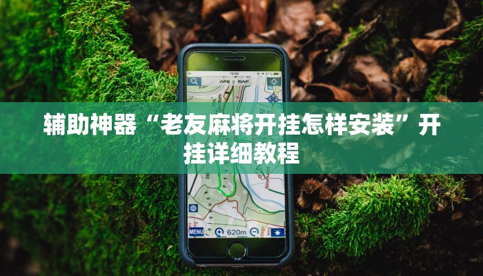 辅助神器“老友麻将开挂怎样安装”开挂详细教程