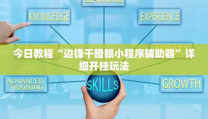 今日教程“边锋干瞪眼小程序辅助器”详细开挂玩法