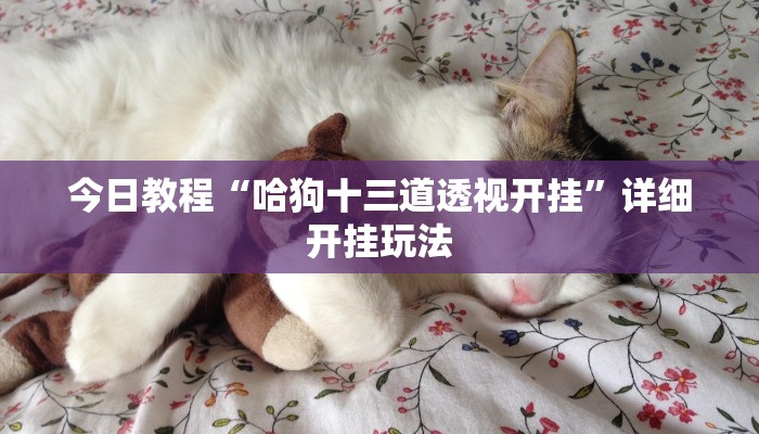 今日教程“哈狗十三道透视开挂”详细开挂玩法