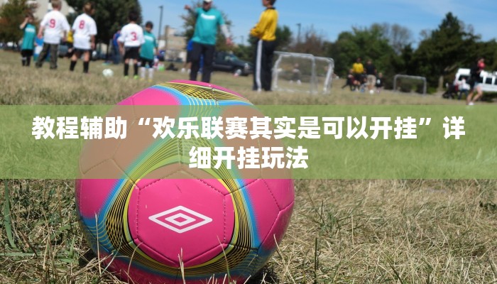 教程辅助“欢乐联赛其实是可以开挂”详细开挂玩法