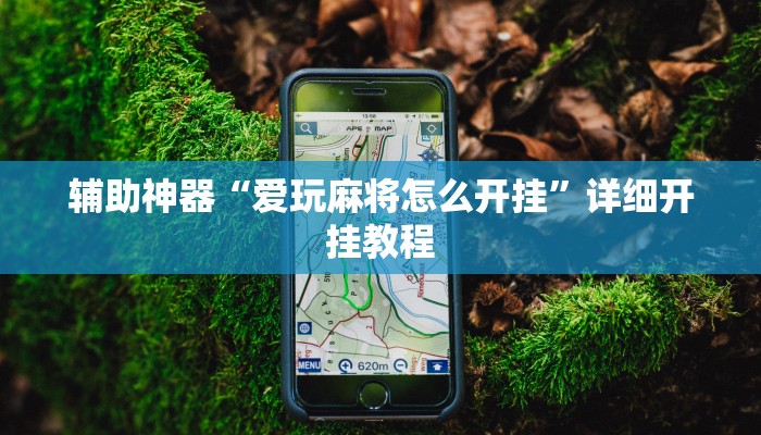 辅助神器“爱玩麻将怎么开挂”详细开挂教程 辅助神器“爱玩麻将怎么开挂”详细开挂教程