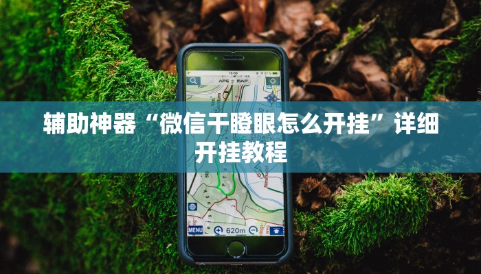 辅助神器“微信干瞪眼怎么开挂”详细开挂教程