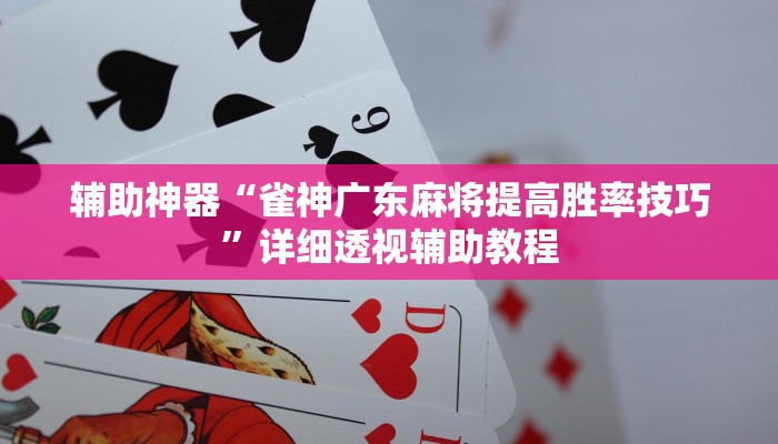 辅助神器“雀神广东麻将提高胜率技巧”详细透视辅助教程 辅助神器“雀神广东麻将提高胜率技巧”详细透视辅助教程