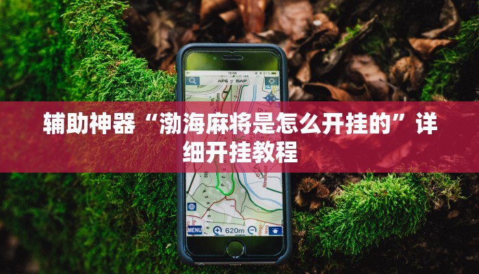 辅助神器“渤海麻将是怎么开挂的”详细开挂教程